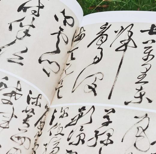 重点推荐！！！《徐渭书画全集》，精装，8开，函套装全2册，徐渭绘著，天津人民美术出版社2014年一版，2019年二印，近500页，定价800，售价398元。 商品图14