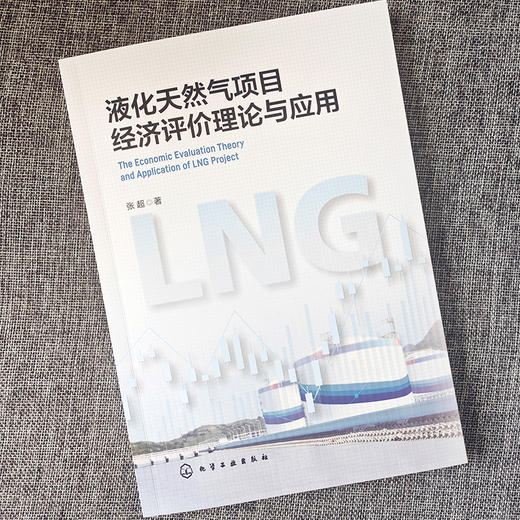 液化天然气项目经济评价理论与应用 商品图2