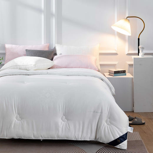 【远梦】植选大豆蚕丝搭档被 商品图3