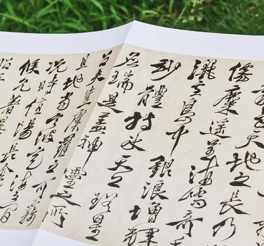 重点推荐！！！《徐渭书画全集》，精装，8开，函套装全2册，徐渭绘著，天津人民美术出版社2014年一版，2019年二印，近500页，定价800，售价398元。 商品图11