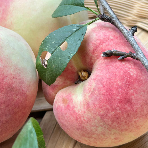 【顺丰发货】土哆哆云南大理雪桃新鲜脆甜现摘现发 商品图6