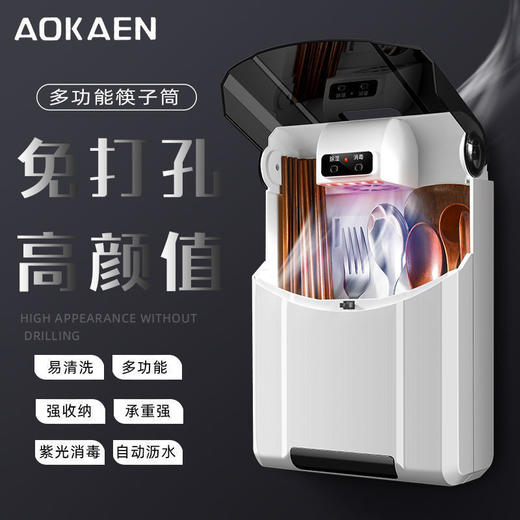 多功能筷子收纳防霉家用消毒装筷筒沥水快子合壁挂式简约筷笼防尘 商品图3