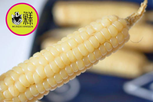 原种800年～带皮拇指小玉米🌽1kg装 商品图2