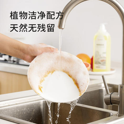 美穗吉家 果蔬餐具净1.25kg 商品图1