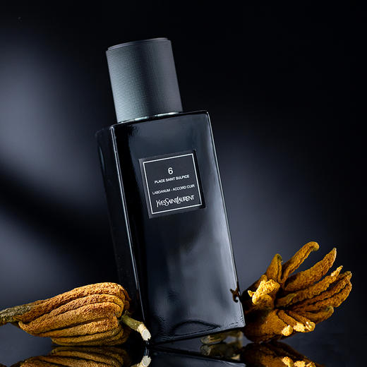 圣罗兰 圣叙尔皮斯6号 YSL Yves Saint Laurent 6 place Saint Sulpice 分装 【内敛又不失奢华的气息】 商品图1