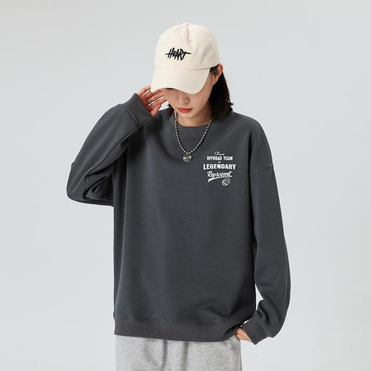 自由基地秋冬新款450克银狐抓绒圆领套头卫衣潮流越野字母印花款 NMT-2183 商品图0