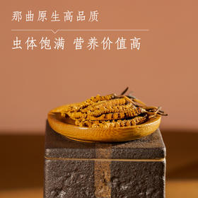 那曲精选虫草（3000条）