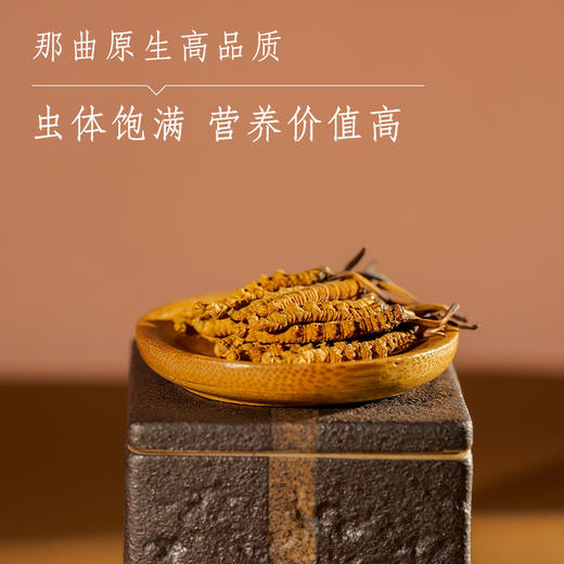 那曲精选虫草（3000条） 商品图0