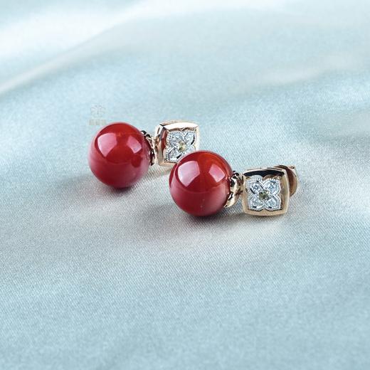 【鸿运】阿卡珊瑚耳钉-SH12406089 商品图4