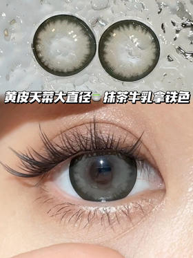 Latte 拿铁抹茶牛乳绿·半年抛型