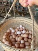 富硒九华山竹林散养土鸡蛋 商品缩略图2