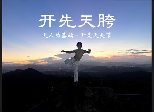 开先天胯·天人功基础·开先天关节 商品图0