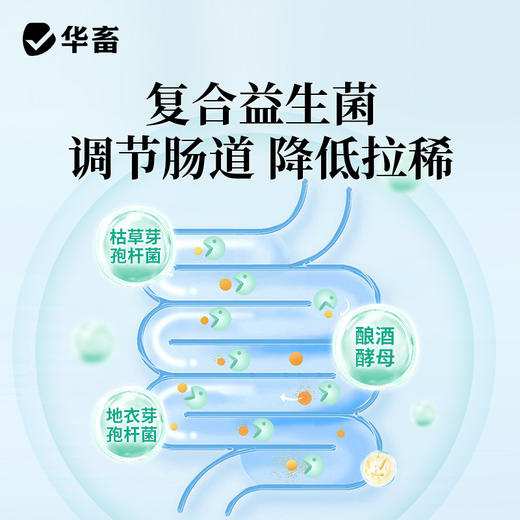 华畜   双效脱霉先锋 1kg  保全营养生物脱霉 商品图4