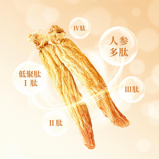 大力参排片礼盒  100g/盒 商品图3
