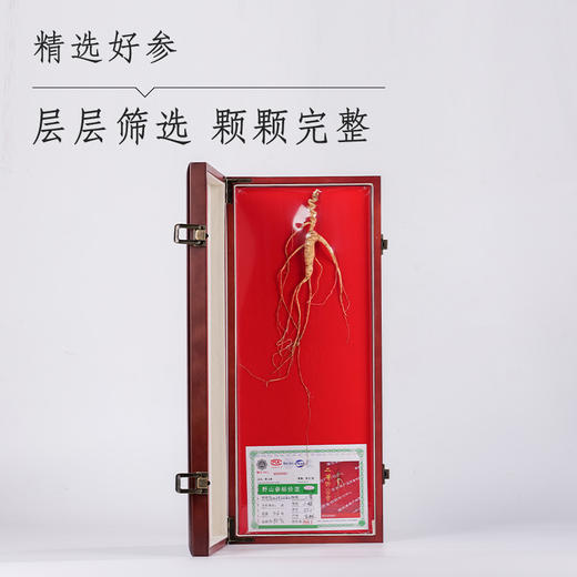 国检参礼盒 商品图2