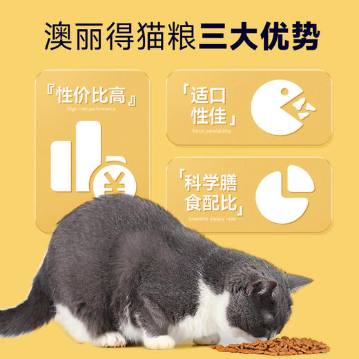 【会员专享】雷米高澳丽得猫粮成猫幼猫用增肥发腮英短美短包邮 商品图1