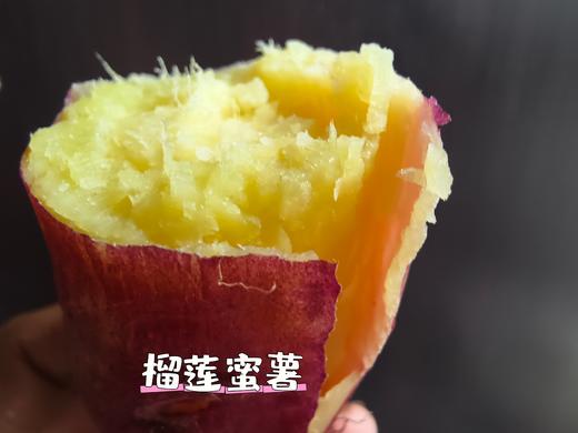 纯地瓜粉条、面粉、 玉米糁、 面条、 有机种植红薯地瓜  生之恋农场 商品图13