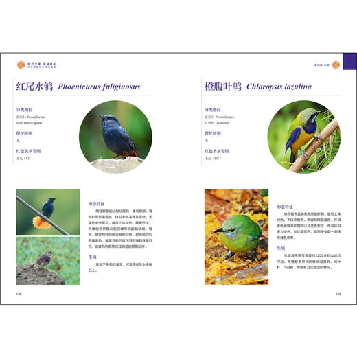 钱江之源 多样开化——开化县生物多样性图鉴 商品图3