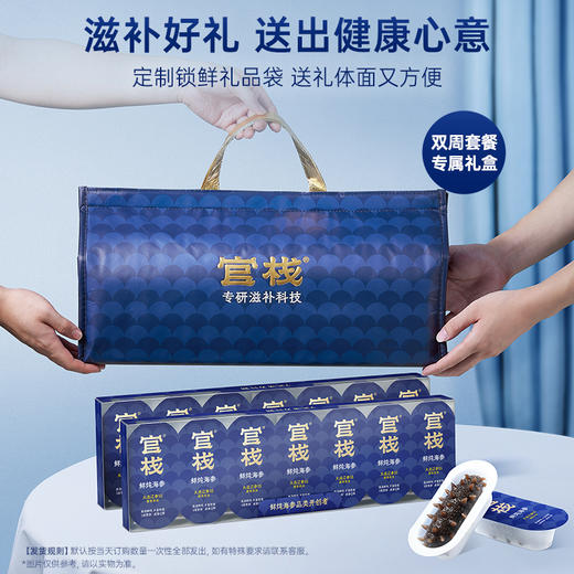【5S半月套餐】礼袋款  官栈5S鲜炖海参  120g*2（14只） 商品图2