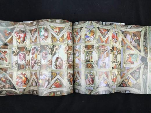 米开朗基罗与西斯廷教堂的创作 142幅彩色插图 精装大16开 商品图6