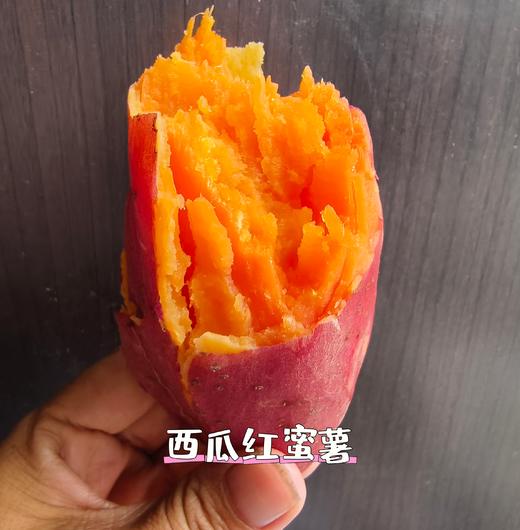 纯地瓜粉条、面粉、 玉米糁、 面条、 有机种植红薯地瓜  生之恋农场 商品图11