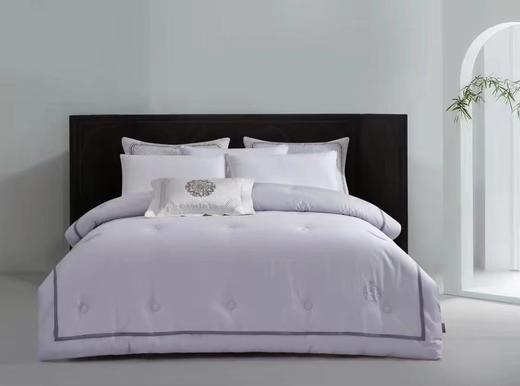 柏琳家纺双萃埃及之星金蚕冬被 商品图0