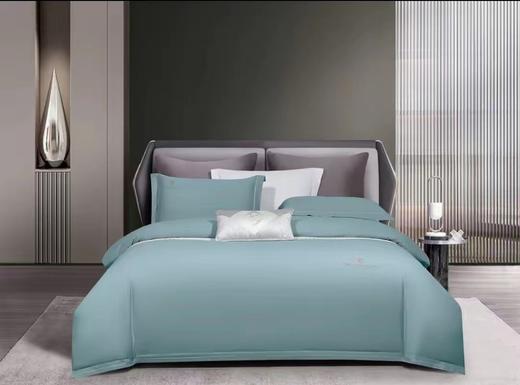 柏琳家纺磨毛系列惬意时光四件套 商品图5