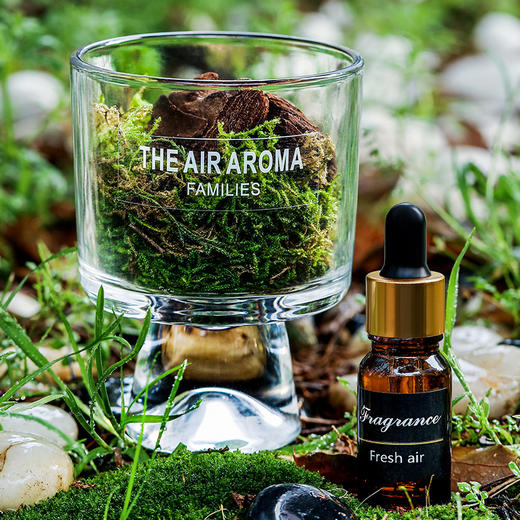 松木青苔扩香杯 森系无火香薰扩香摆件家用持久清香香薰伴手礼 商品图3