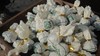 【挖茶】五周年纪念版龙珠系列：大雪山&曼峨，重磅来袭（收藏必备） 商品缩略图1