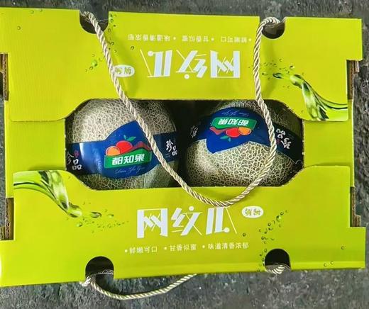 静冈玫珑瓜 商品图0