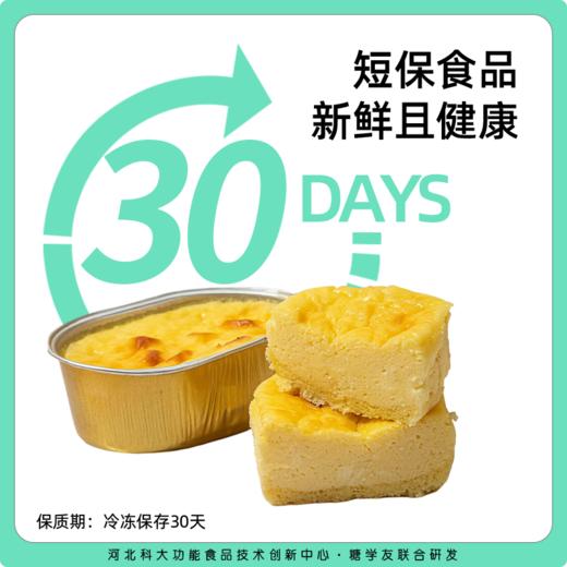 糖学友生酮芝士蛋糕高饱腹糕点奶酪甜品零食下午茶低碳水半熟芝士 商品图4