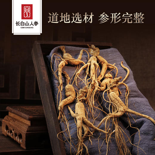 林下参  20g/盒 商品图3