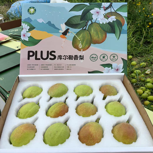 新疆半亩园PLUS精品香梨 商品图2