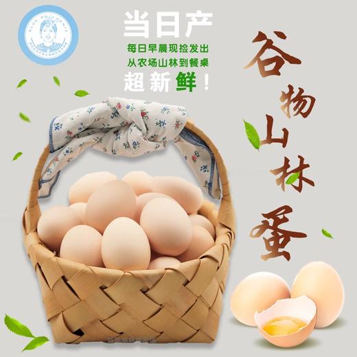 麻麻亮土鸡蛋  来自长寿之乡 谷物山林蛋 当日产超新鲜  30枚/盒 商品图2