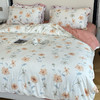 【一眼心动】韩国设计师款四件套 手感细腻 柔软亲肤 四季床上用品 九花色可选 商品缩略图0