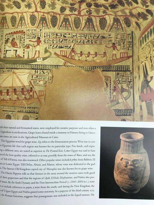 黄金木乃伊谷 300幅插图（260幅彩色） 精装大16开 商品图8
