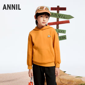 男童海岛绒连帽卫衣冬季新款安奈儿童装实体店同款AB441770