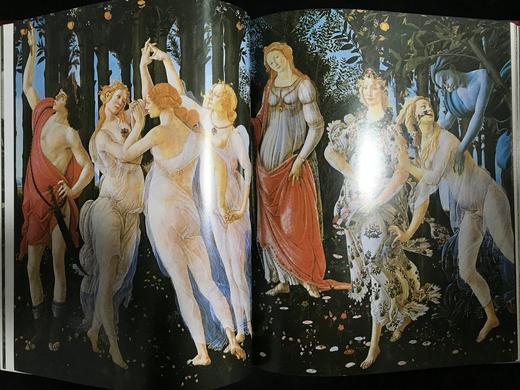 世界文化遗产瑰宝：文艺复兴时期的亲王 百余幅彩色插图（含跨页图） 丝布面精装大16开 商品图14