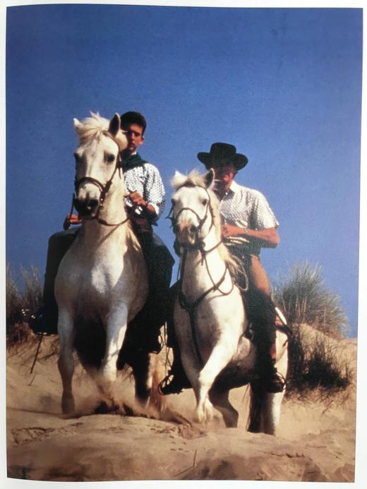 骏马百科全书 400余幅插图 精装16开 商品图10