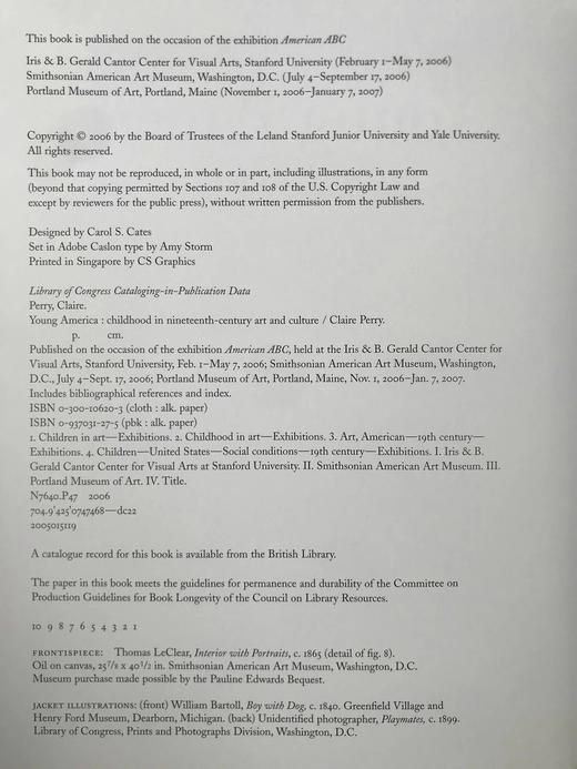 年轻的美国：十九世纪艺术与文化中的童年 168幅插图 精装16开 商品图4