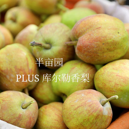 新疆半亩园PLUS精品香梨 商品图1
