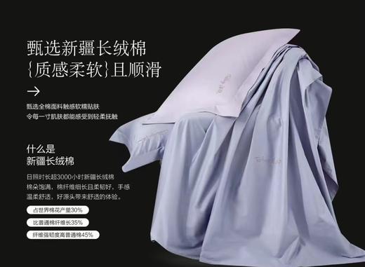 柏琳家纺国货之光悦享时光四件套 商品图2