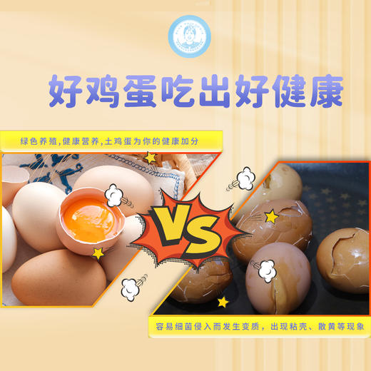 麻麻亮土鸡蛋  来自长寿之乡 谷物山林蛋 当日产超新鲜  30枚/盒 商品图4