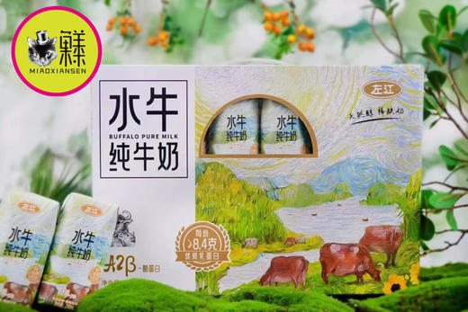 左江水牛纯牛奶A2奶源210ML×10瓶 商品图2
