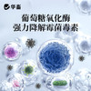 华畜   双效脱霉先锋 1kg  保全营养生物脱霉 商品缩略图3