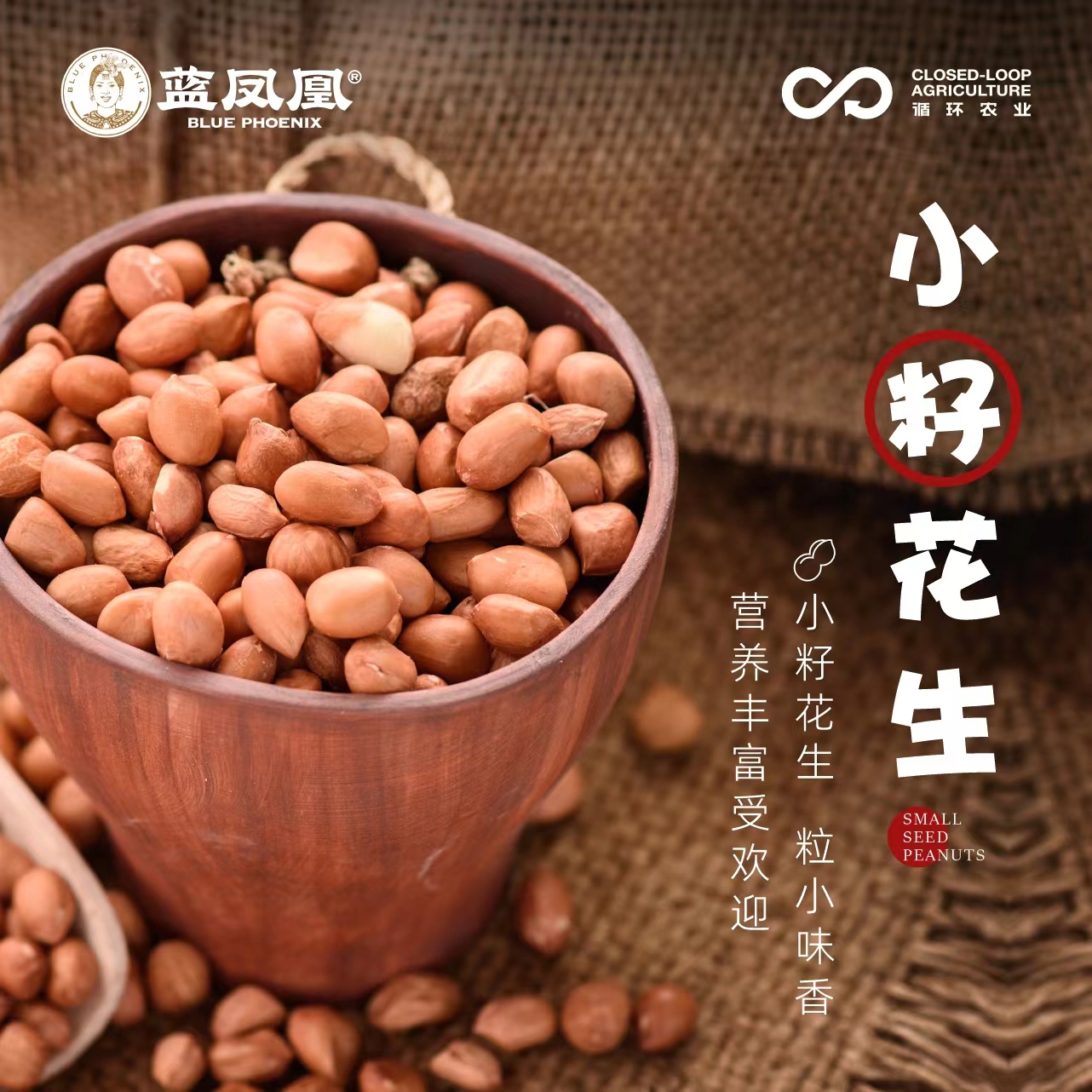 麻阳小籽花生  营养健康 味道醇厚 生花生  5斤装