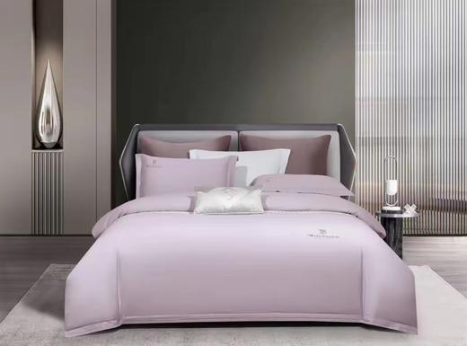 柏琳家纺磨毛系列惬意时光四件套 商品图4