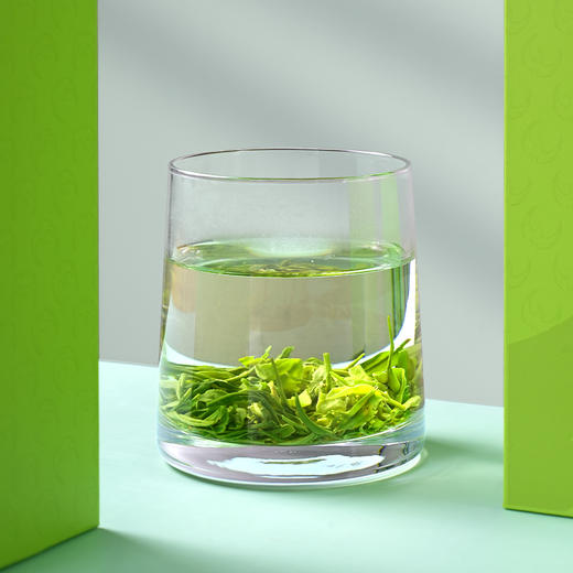 【2025春茶】鹏翔汉中绿茶挚交252克礼盒装 茶香味浓 栗香浓郁 商品图8