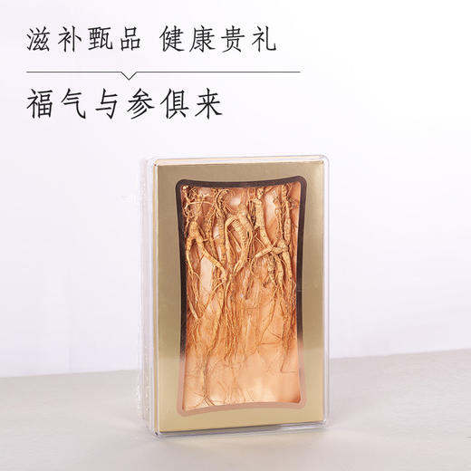 纯货 野生人参 商品图2