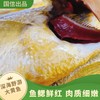 ZMS【国信1号大黄花鱼】身形细长肉质紧实口感鲜美无土腥味，全球首艘10万吨级智慧渔业养殖船 国企深海野游养殖方式，一鱼一溯源码，清蒸红烧都好吃~ 商品缩略图2